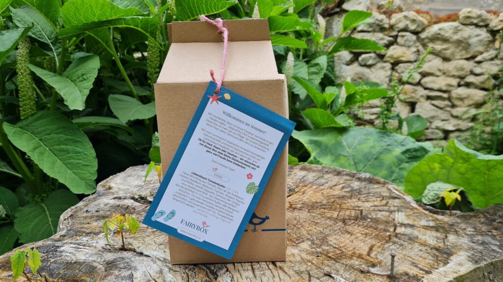 Fairybox Juni 