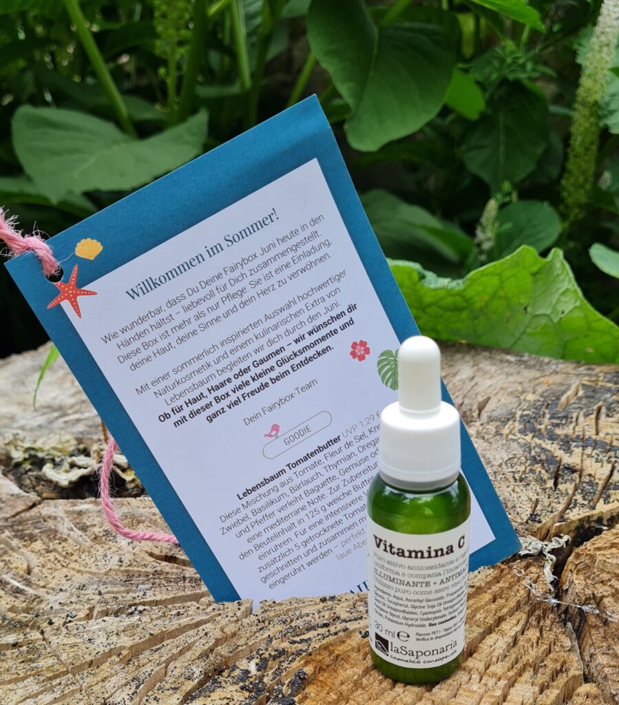 Fairybox Juni 