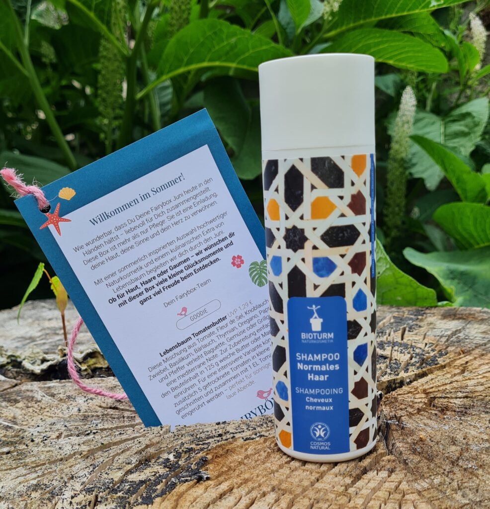 Fairybox Juni 